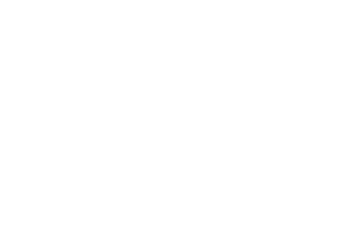 building-project-logo-w